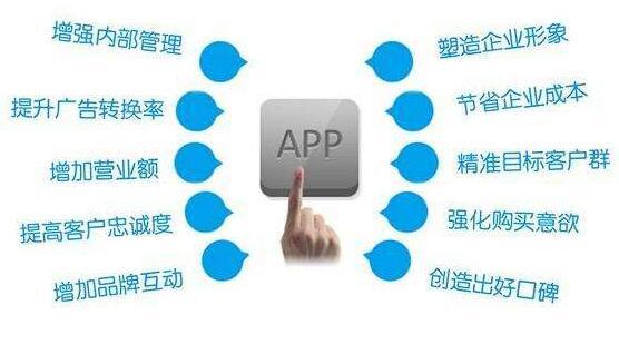大型App软件开发公司的角色与挑战