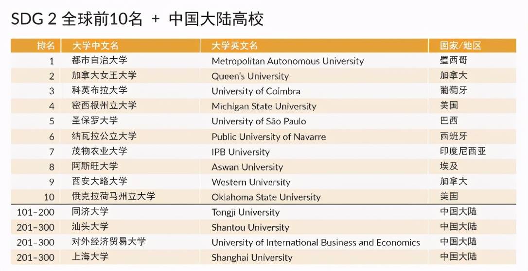 全球软件开发公司排名及其影响力分析
