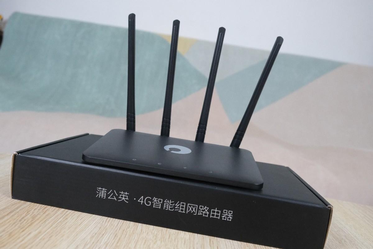 上网的路由器，技术解析与应用探讨