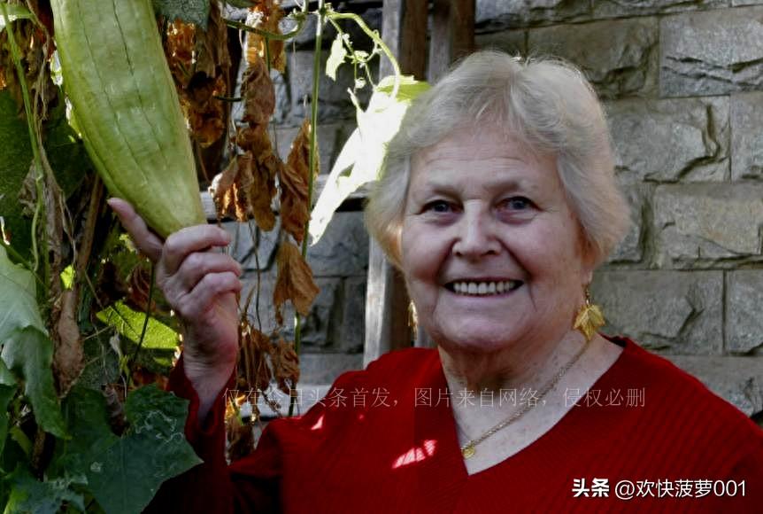 人类科技进步，探索未知的壮丽之旅