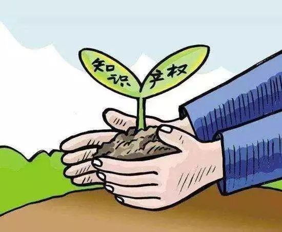 山东最近大事件及成就