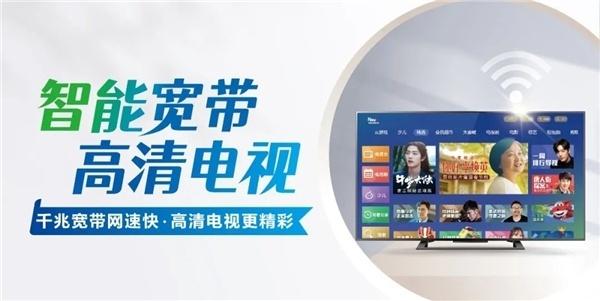 上网的路由器，连接数字世界的桥梁