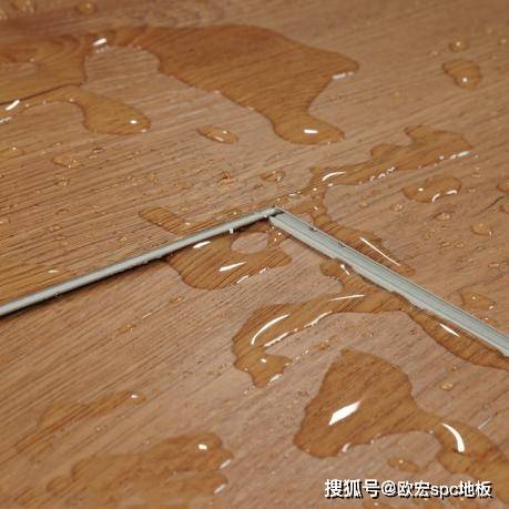 石塑地板胶水，解析其特性与应用