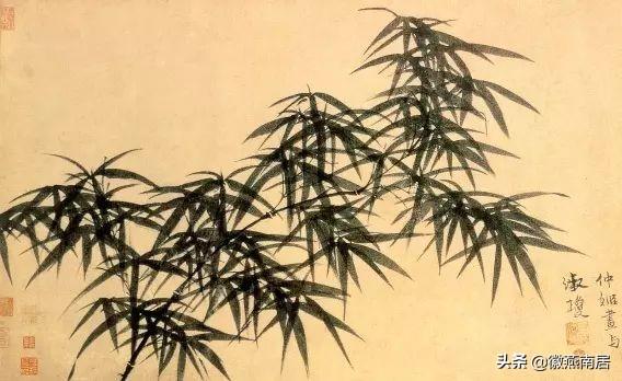 书法专题指导，探索艺术的深度与广度