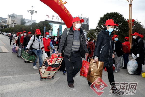 大型客车报价网，一站式客车价格查询与采购指南