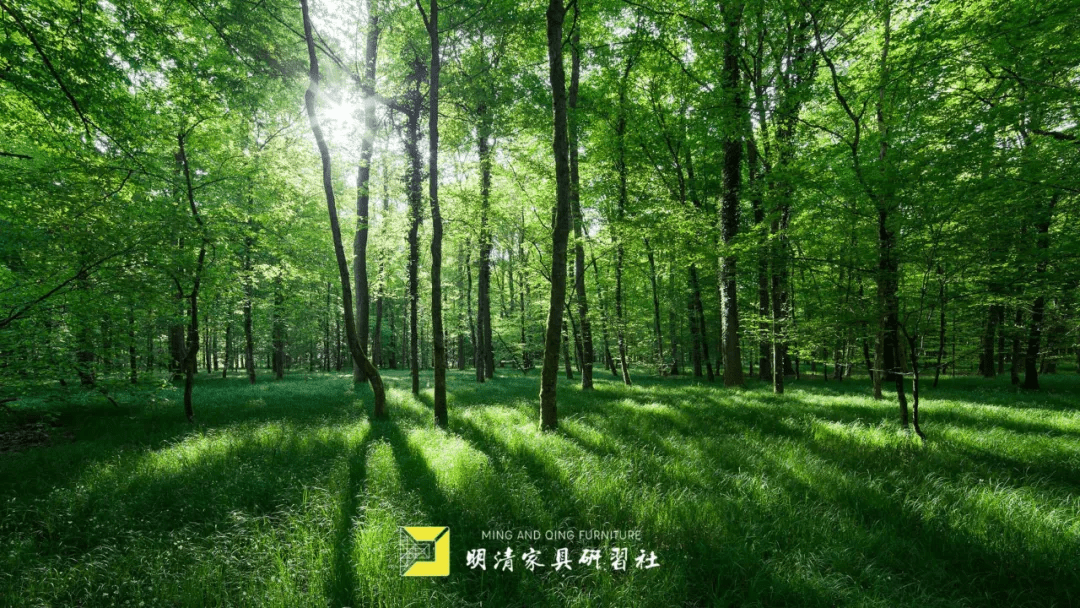 2025年3月 第158页