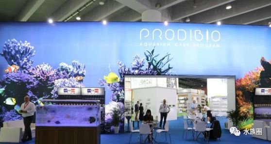 宠物水族展览会，探索海洋魅力的盛宴
