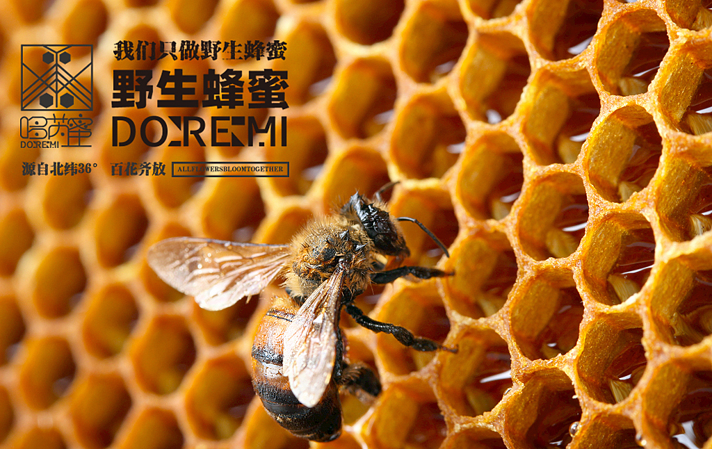 蜂蜜喂蜜蜂最佳配方，提升蜜蜂健康与产量的有效策略