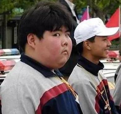 上海拍牌公司哪家靠谱，深度解析与对比