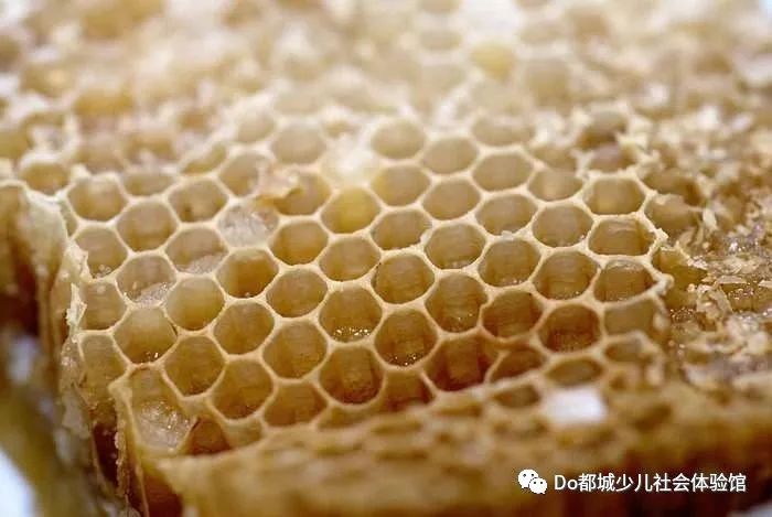 蜂巢泡酒的最佳方法