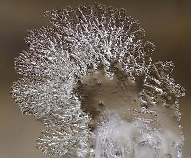 霜莹冰晶，自然之美的独特展现