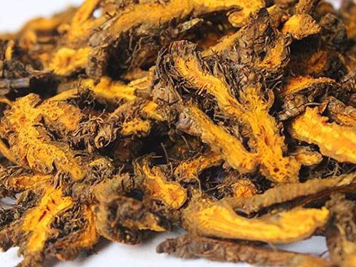 黄莲解毒丸的功效，深入解析其药理作用与应用价值