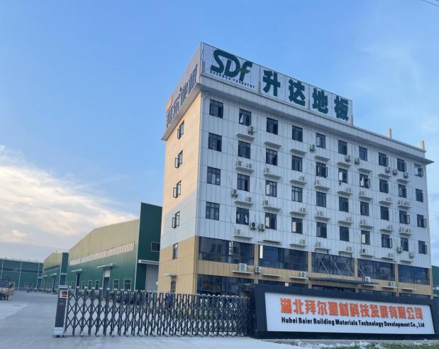 广东省非凡实业，探索卓越，铸就传奇