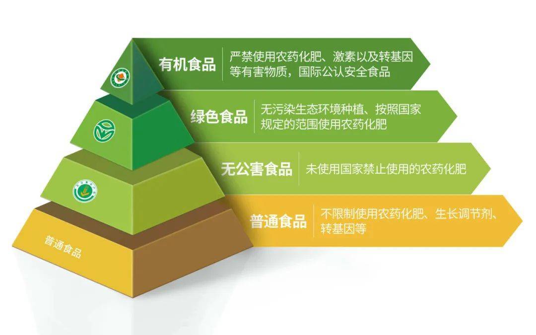 食品制度，构建安全、公正与可持续的基石