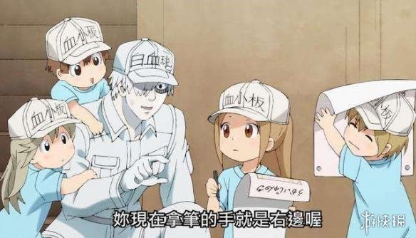 深入解析工作细胞中的角色