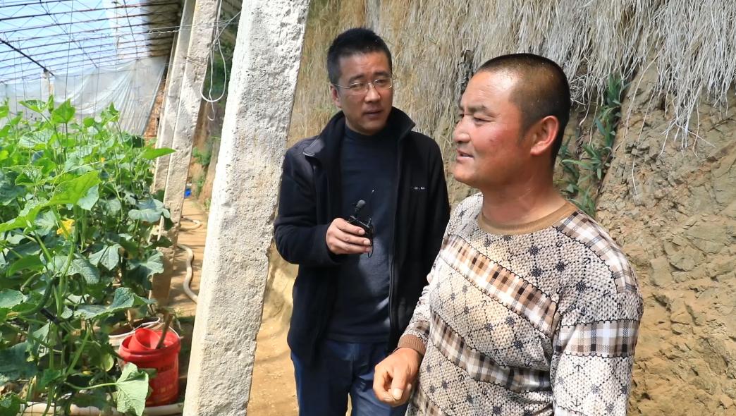 农村大棚种植，农业现代化的新篇章