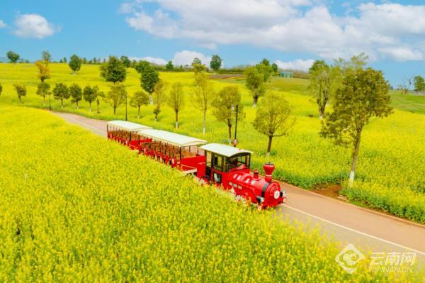 适合农村致富好项目，探索农村发展新路径