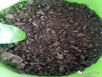 药渣自制花肥，环保与园艺的完美结合