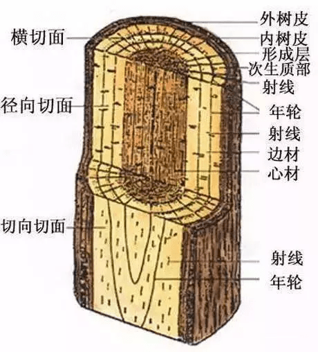 木材基层打磨，工艺细节与要素解析