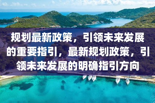 形式政策策划书，引领未来发展的蓝图