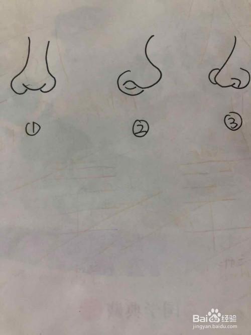 鼻子的简笔画，简单几步绘制生动鼻子轮廓