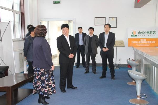 担保机构组织形式及其内涵