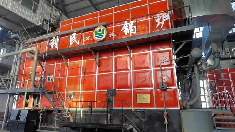 型煤锅炉厂家，专业制造与环保技术的领跑者