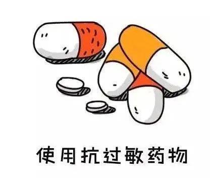 鼻子发干，原因、影响与应对方法