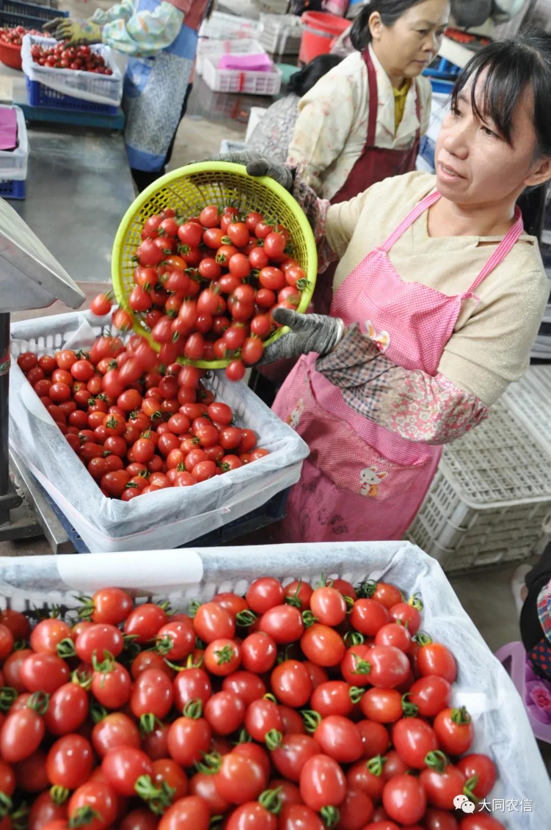 地理国情监测审计，深化理解与应用