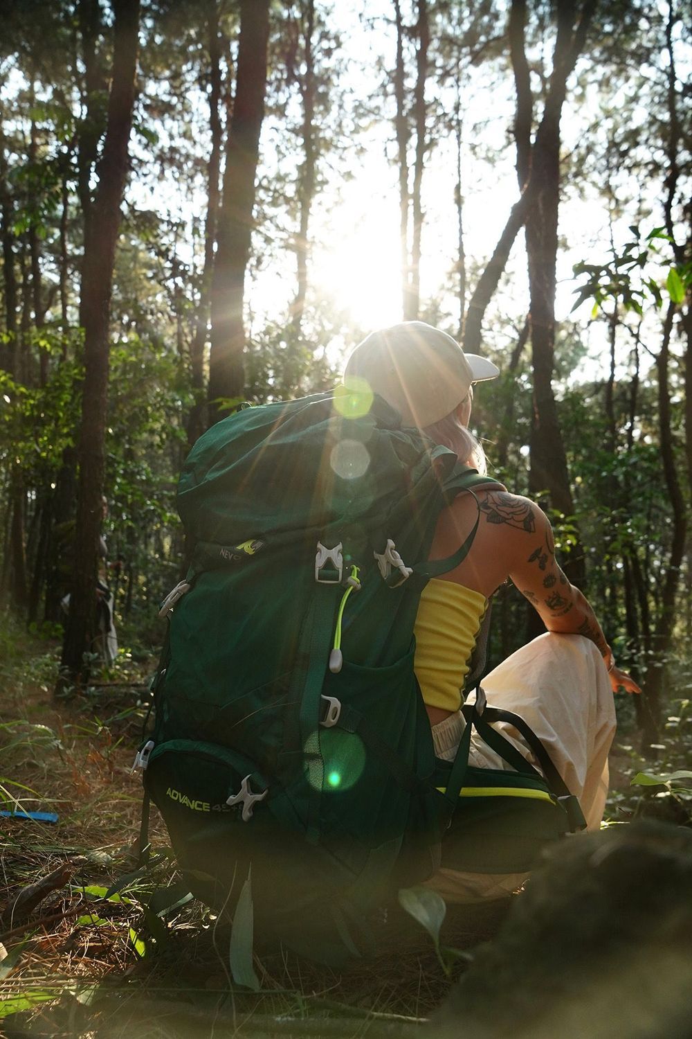 绿野与登山包的奇妙之旅