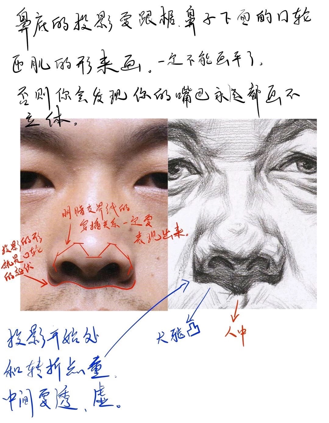 千奇百怪的鼻子，探索鼻子的奥秘