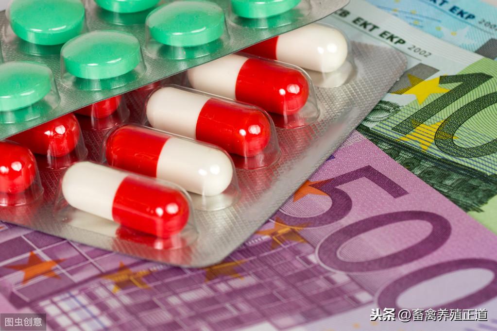鸡的疫苗种类及其保存方法