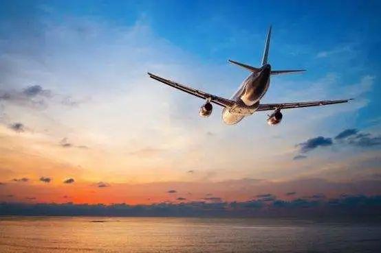 坐飞机可以托运蛇吗？解读航空运输中的特殊问题