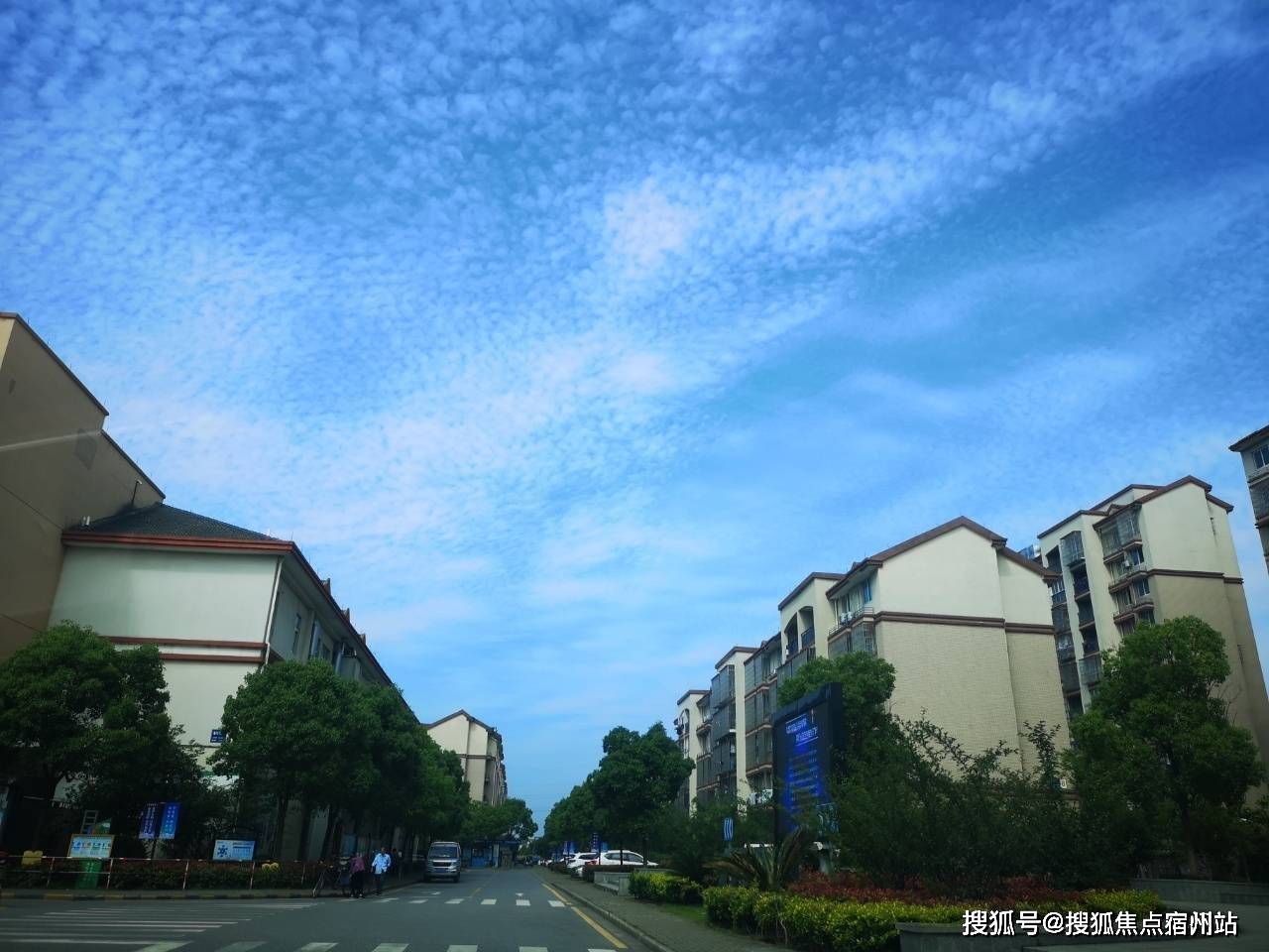 半年纸张行情深度解析