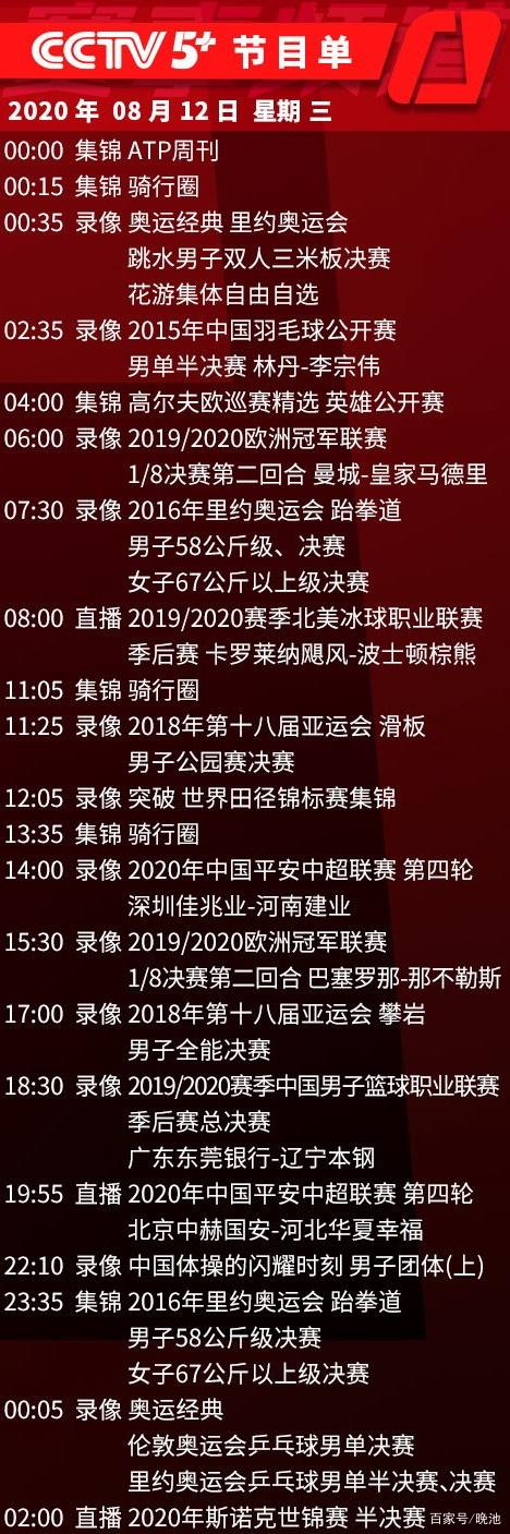中央节目表，电视节目的多样性与文化的繁荣