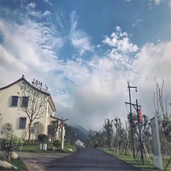 公路车价格等级，深度解析与购车建议