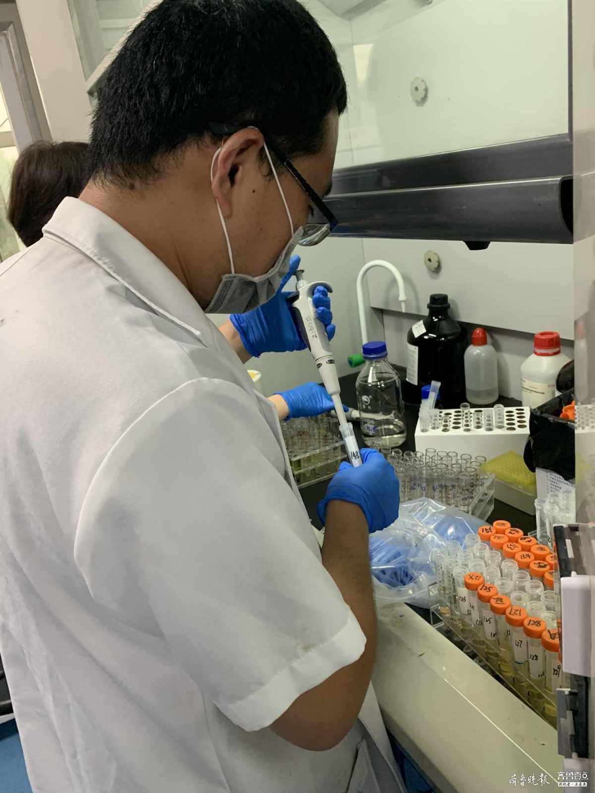 兽药的种类及其特点