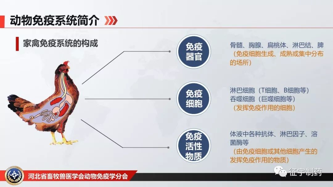 2025年4月 第157页