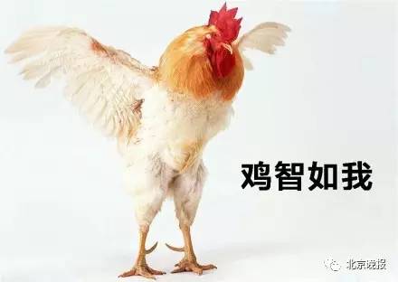 网页制作 第170页