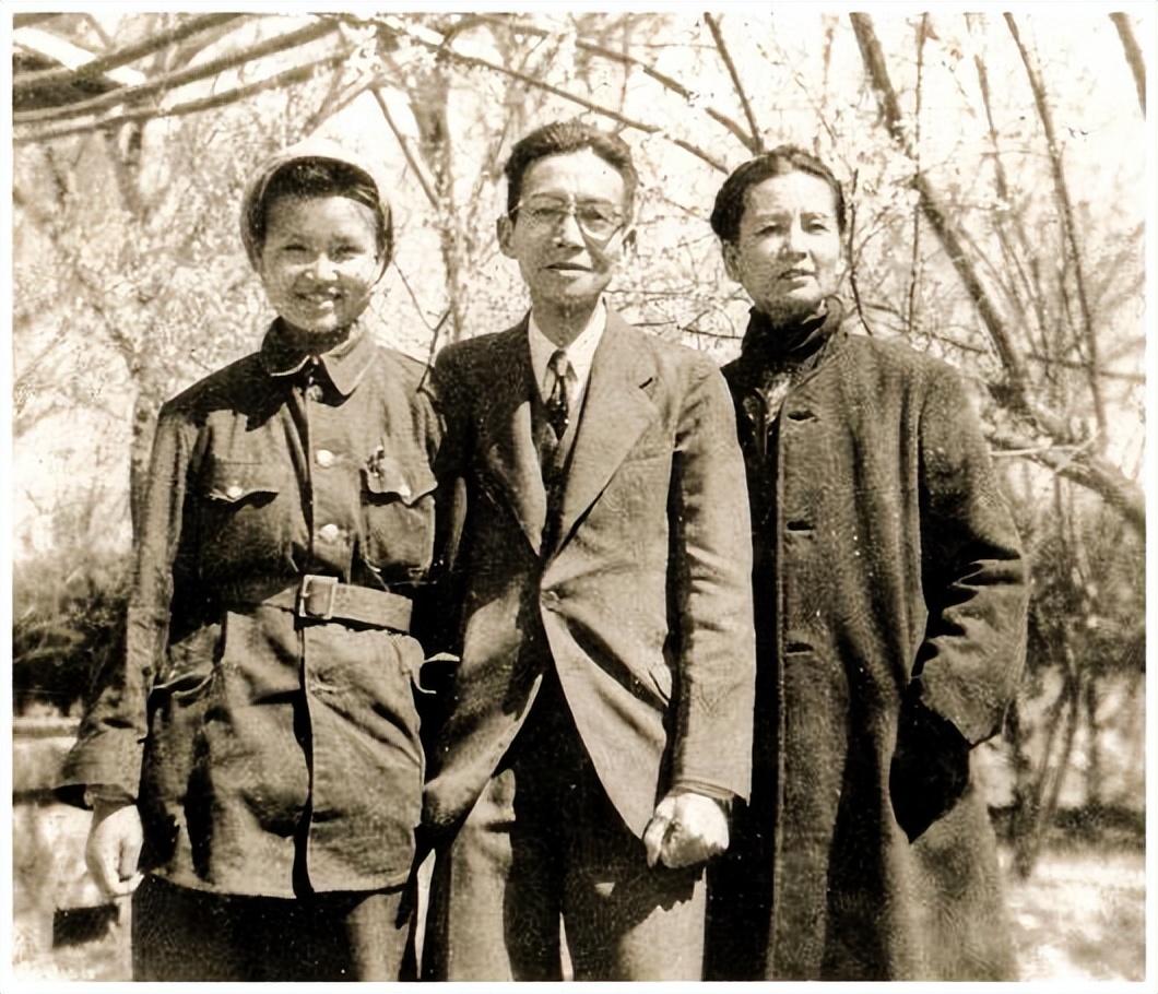 美国建筑学排名及其影响力探讨