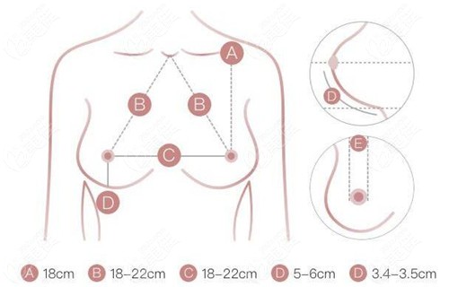 胸部重量的探索与挑战，科学视角下的研究与应用