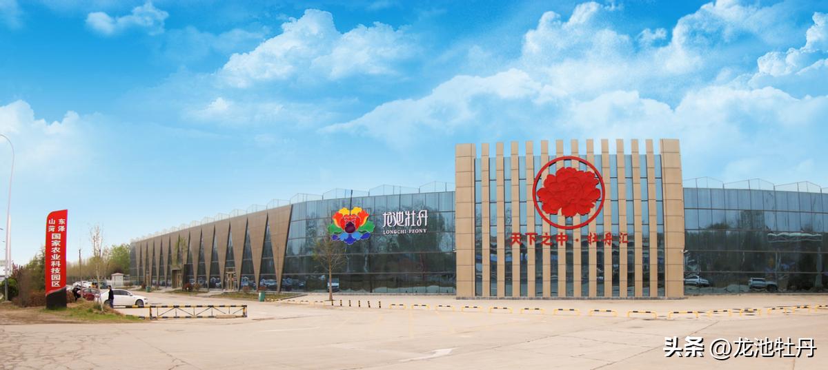 美容产品展示，探索美丽的新世界