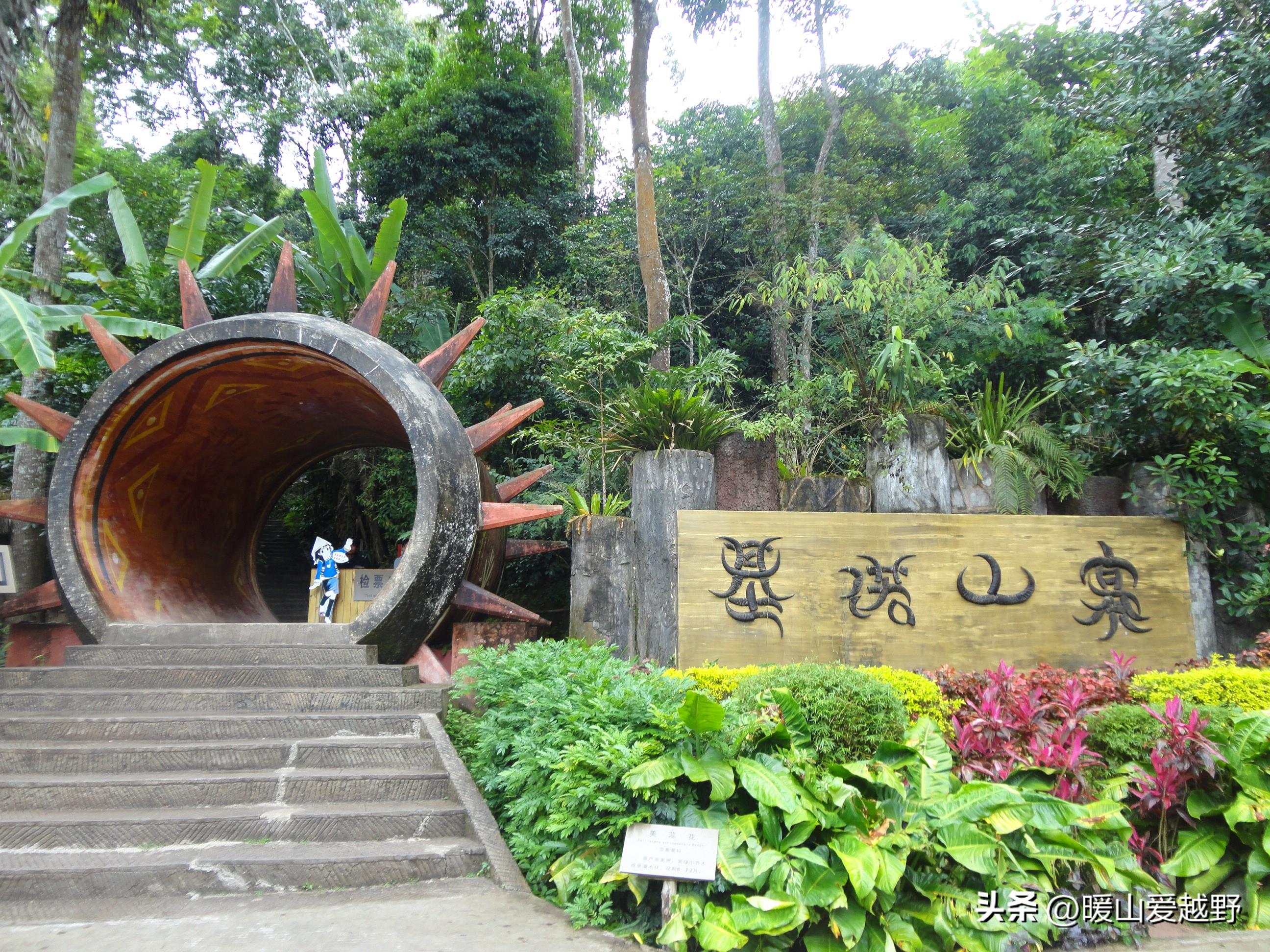 普通鸡种类，多样性与特点