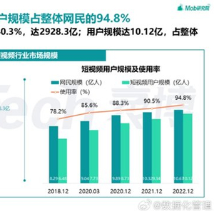 喜德盛碳架等级，深度解析其技术内涵与市场应用