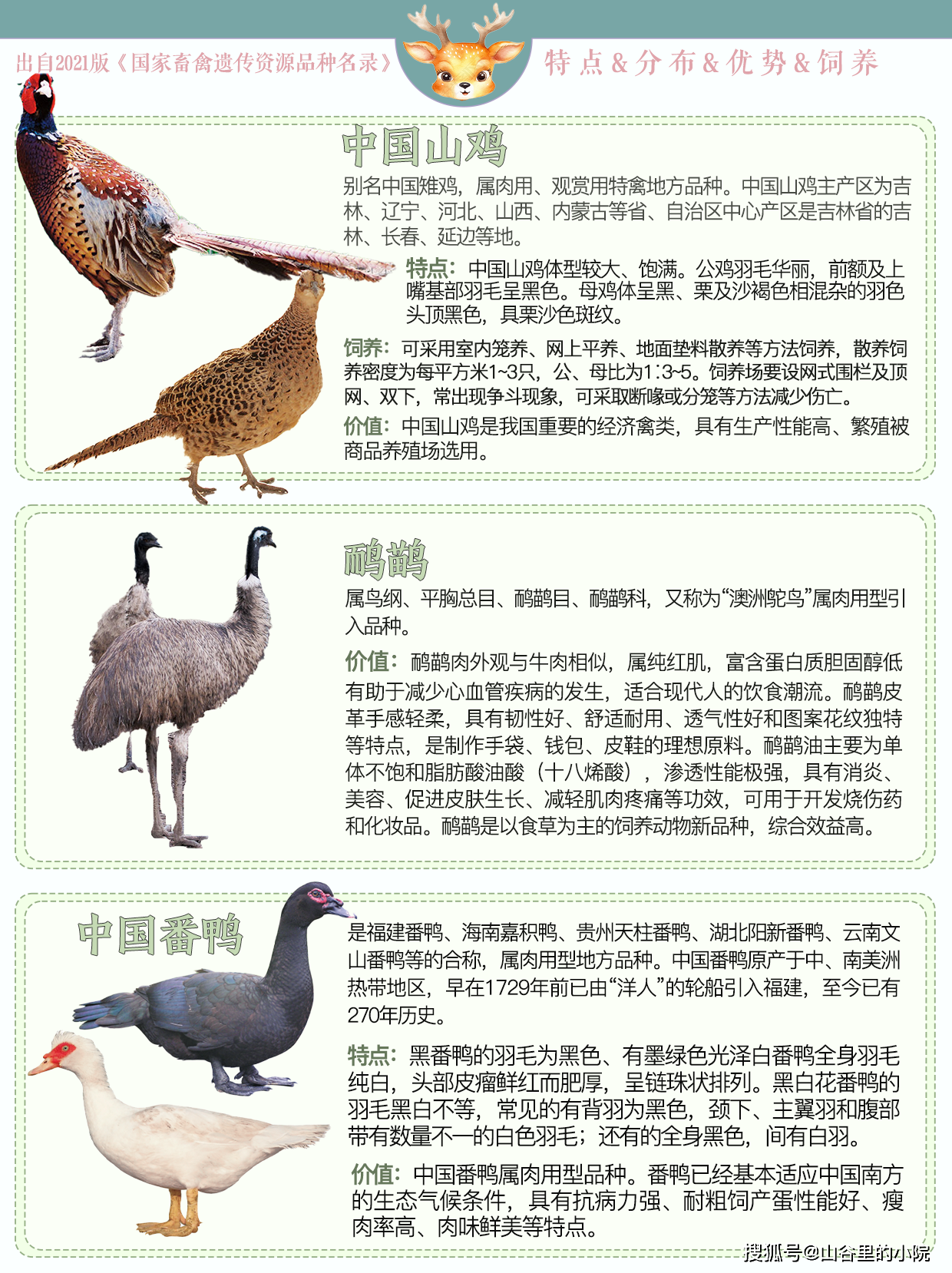 畜禽种类大全，深入了解我们的畜牧世界