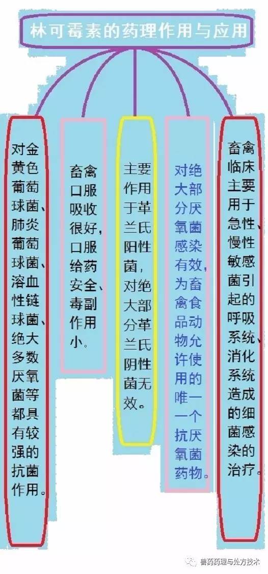 常用兽药种类及其作用与应用