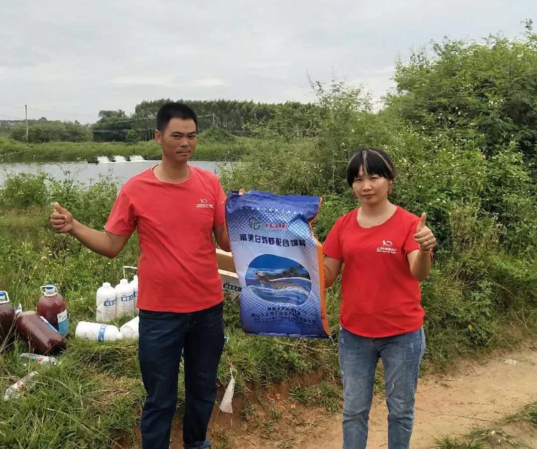 大棚土塘南美白对虾养殖技术与实践