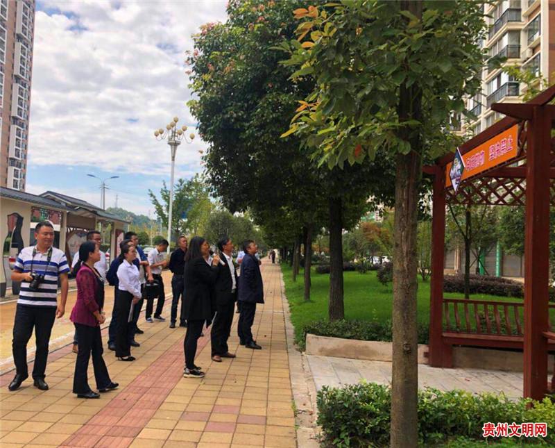 贵州木纹绿，自然之美与艺术之韵的交融
