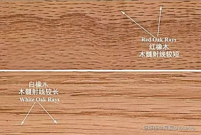 揭秘白木纹，究竟是何木种？