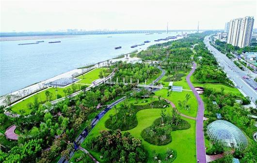南京长江砂石交易，繁荣的商贸活动与市场动态